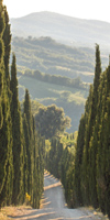 Maremma