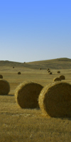 Indirizzi utili della Maremma Toscana - Eventi, Ricette e Foto della Maremma